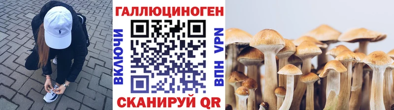 мега рабочий сайт  Карабулак  Псилоцибиновые грибы ЛСД  купить  